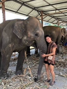 Ellie with elephant