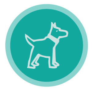 CodeHS